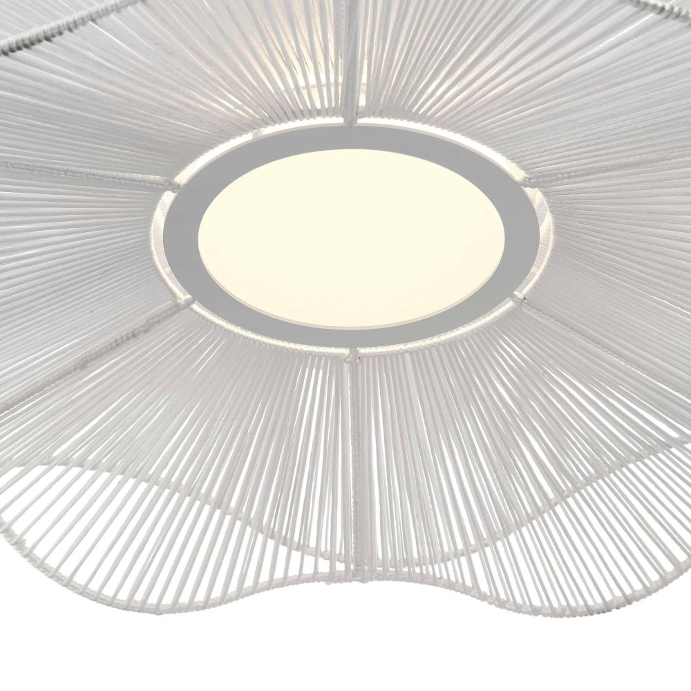 6300-24 WHT