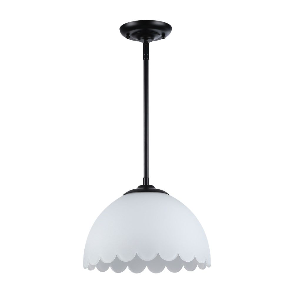 6954-M BLK-OP