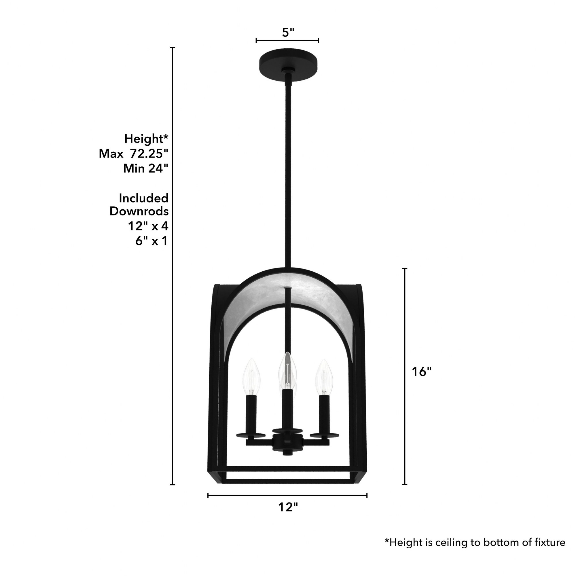 19081