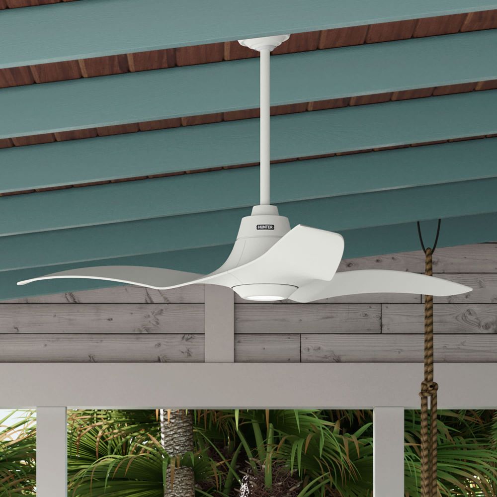 53512