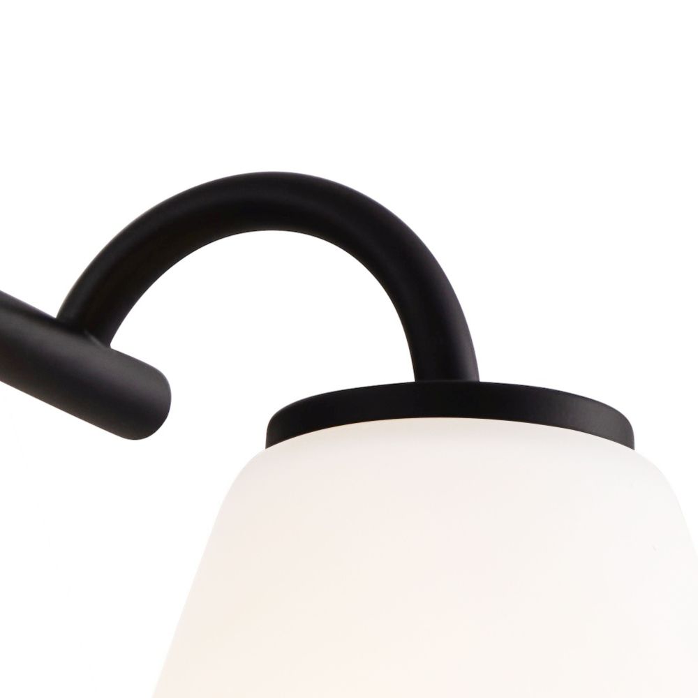 FSN-8364-OPAL-MBLK