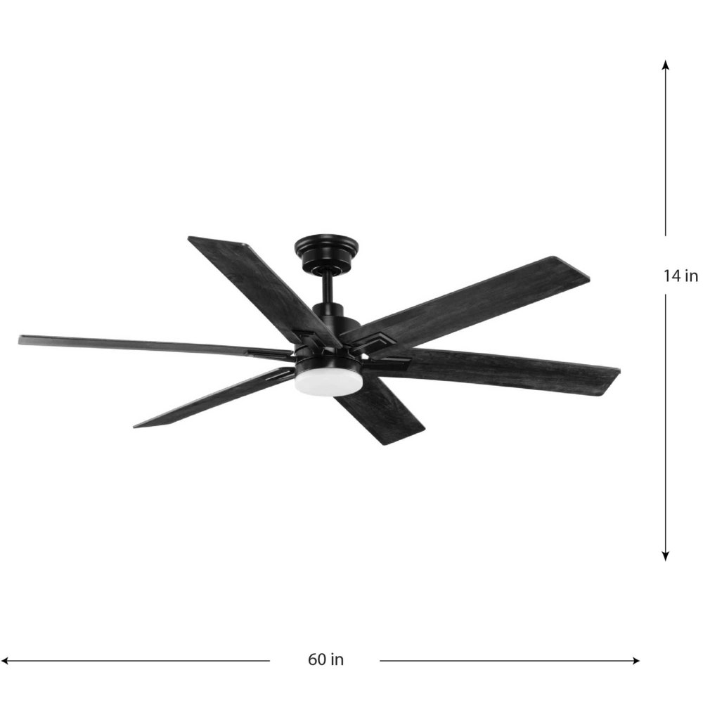 P250103-31M-CS