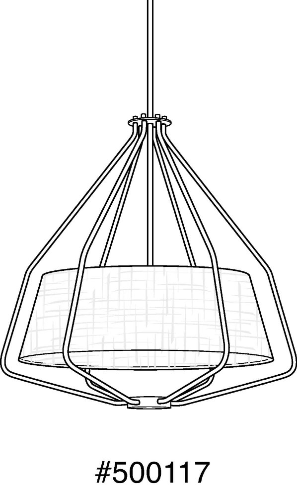 P500117-009