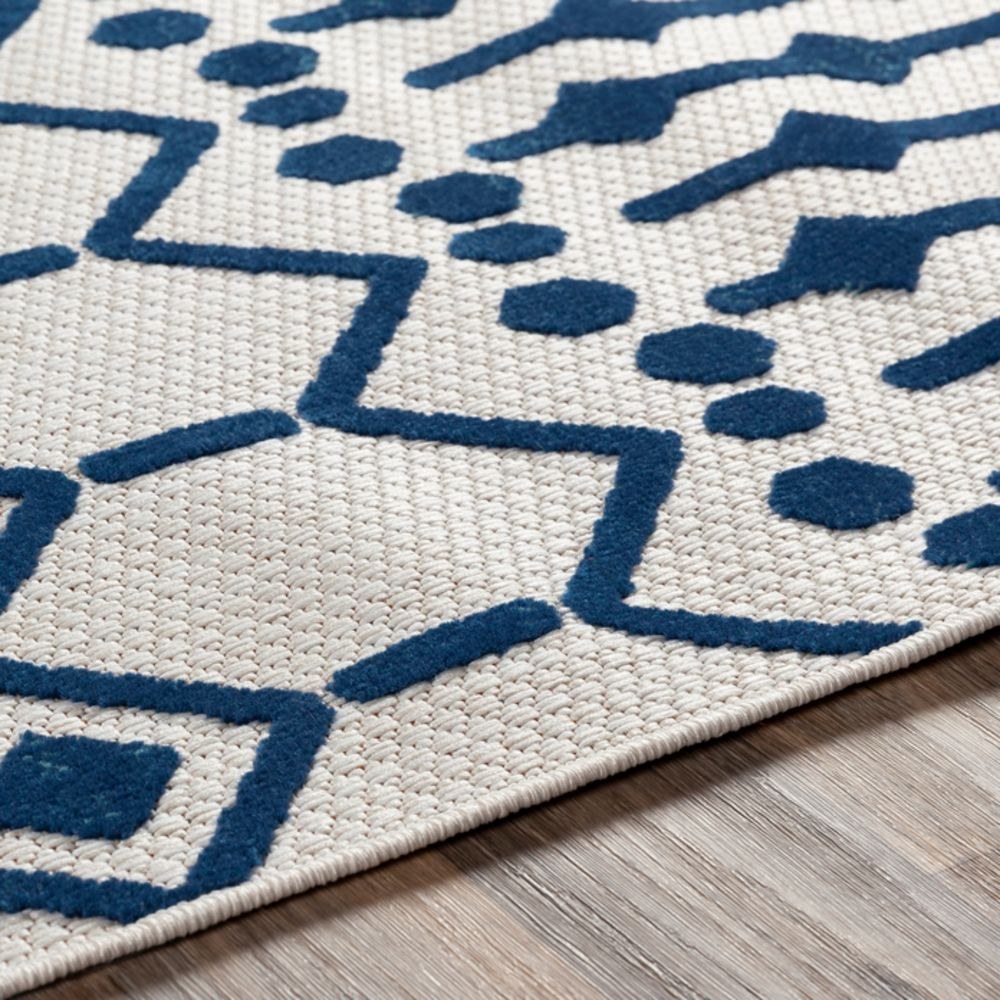 BSR2308-23