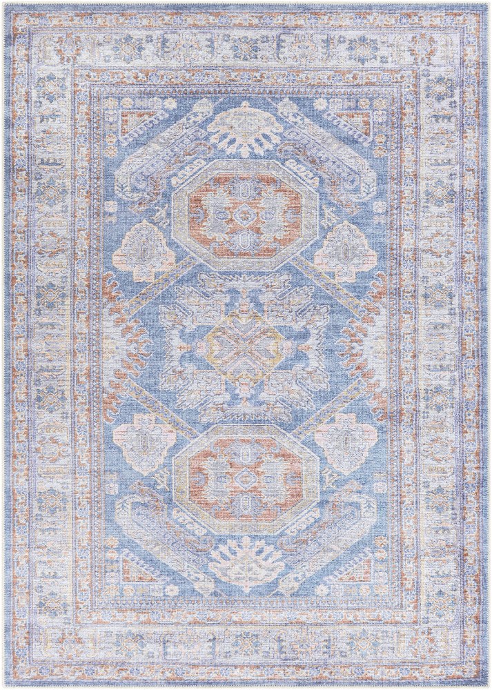 AML2317-2211