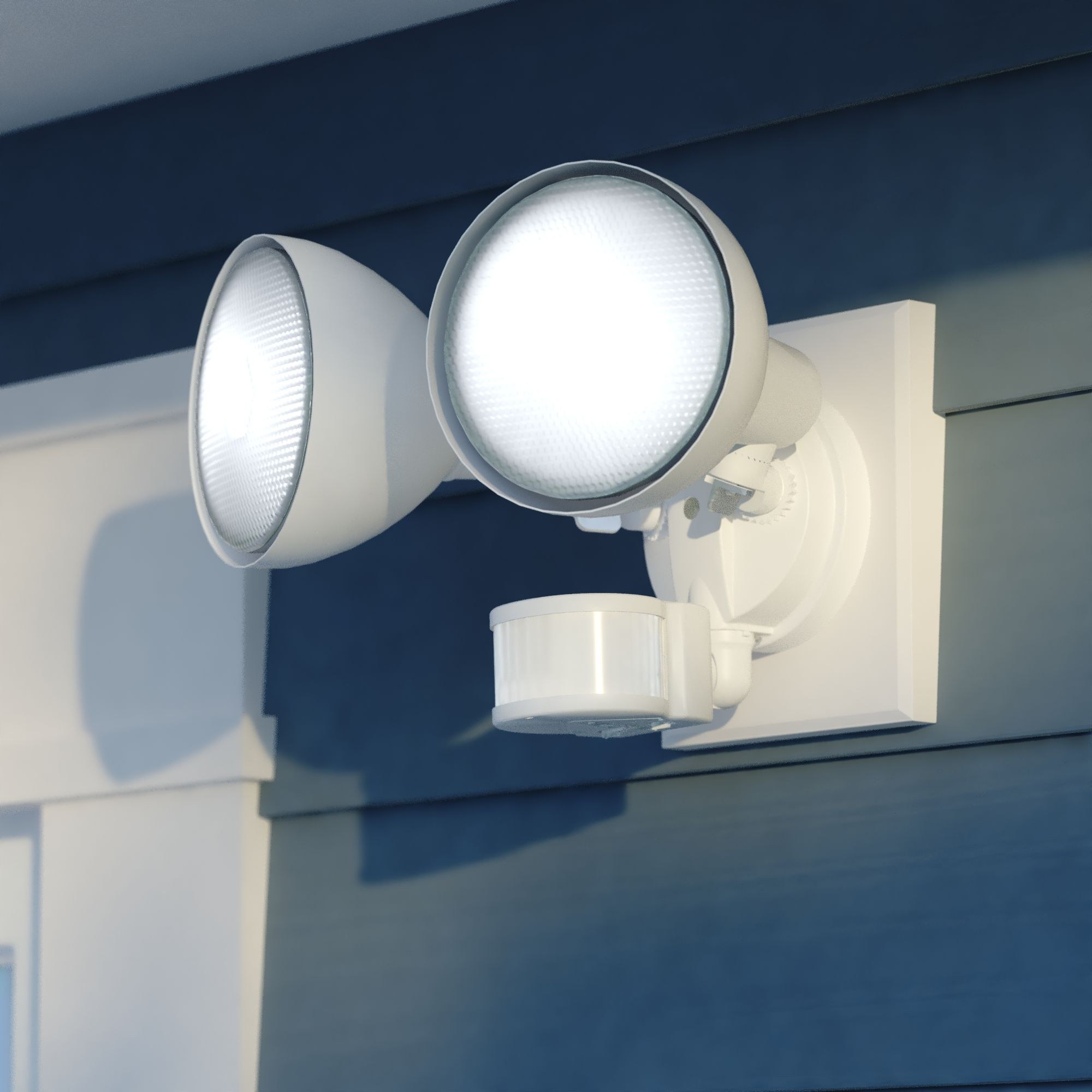 T0696